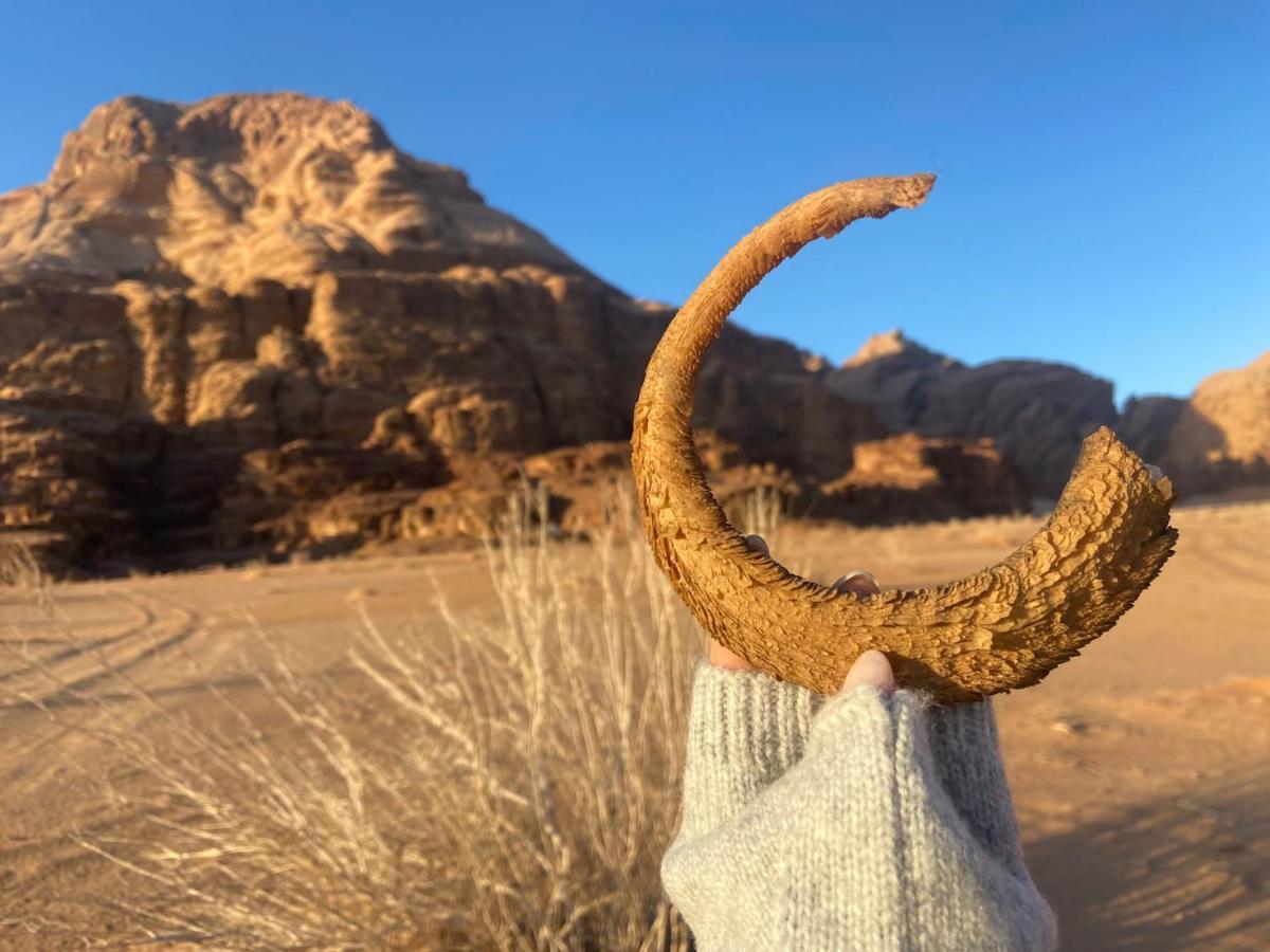 WadiRum Star Planet albasli Wadi Rum Exterior foto